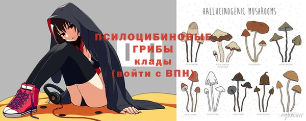 бошки Бугульма