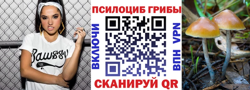 Псилоцибиновые грибы Cubensis  закладки  Зерноград 
